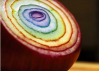 rainbow onion