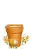 buny in a pot