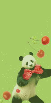 CUTE PANDA