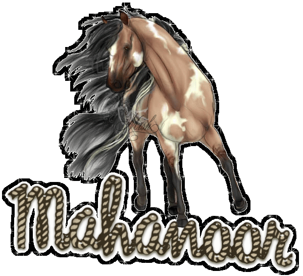 mahanoor wild horse