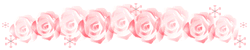 faded pink roses